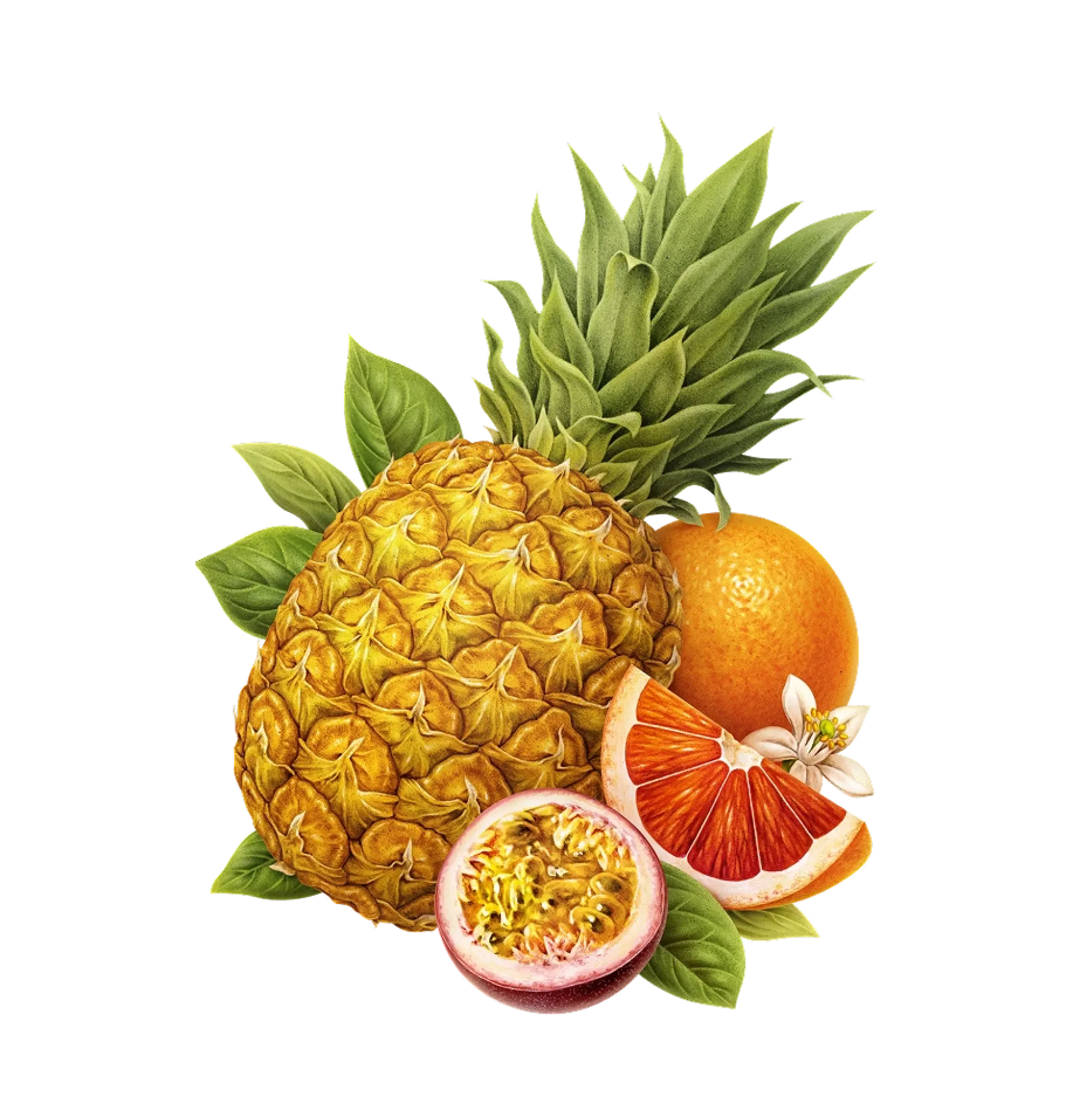 Exotic