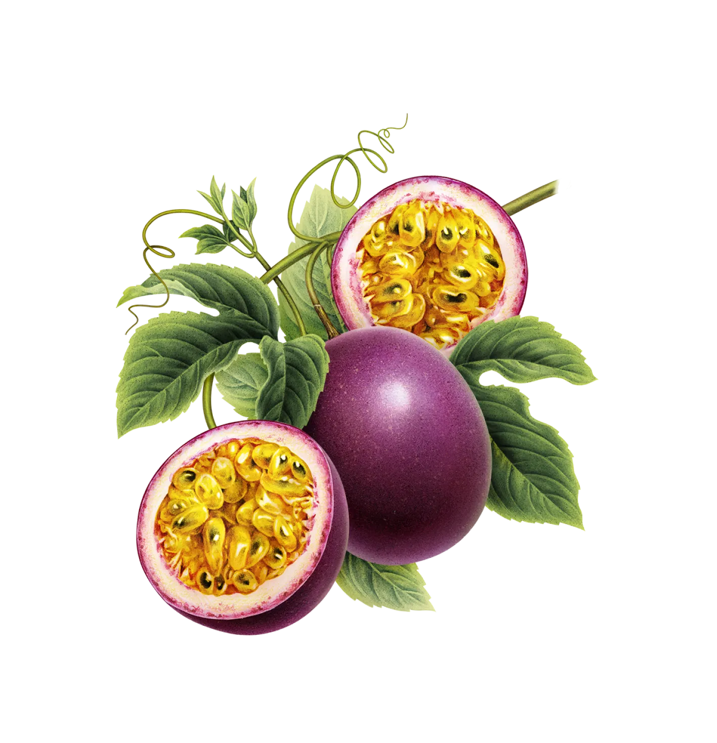 Passion Fruit